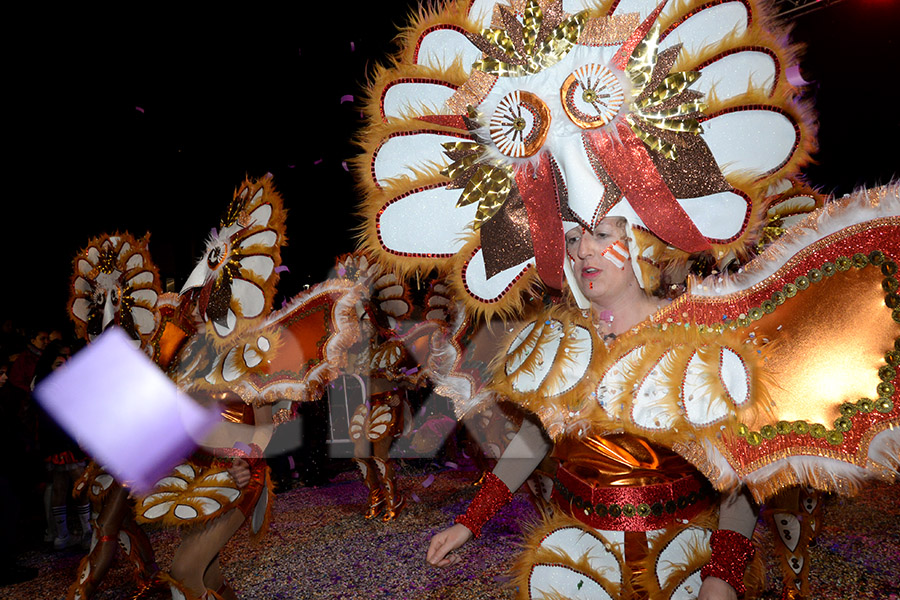 Rua del Carnaval del Vendrell 2017 (I). Rua del Carnaval del Vendrell 2017 (I)