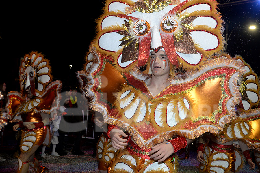 Rua del Carnaval del Vendrell 2017 (I). Rua del Carnaval del Vendrell 2017 (I)