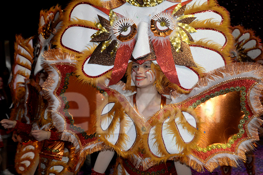 Rua del Carnaval del Vendrell 2017 (I). Rua del Carnaval del Vendrell 2017 (I)