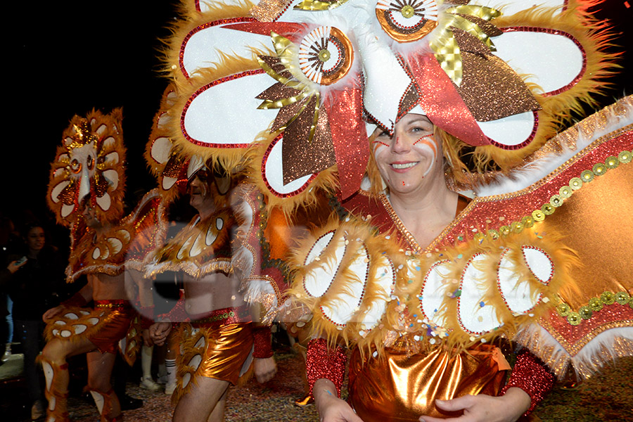 Rua del Carnaval del Vendrell 2017 (I). Rua del Carnaval del Vendrell 2017 (I)