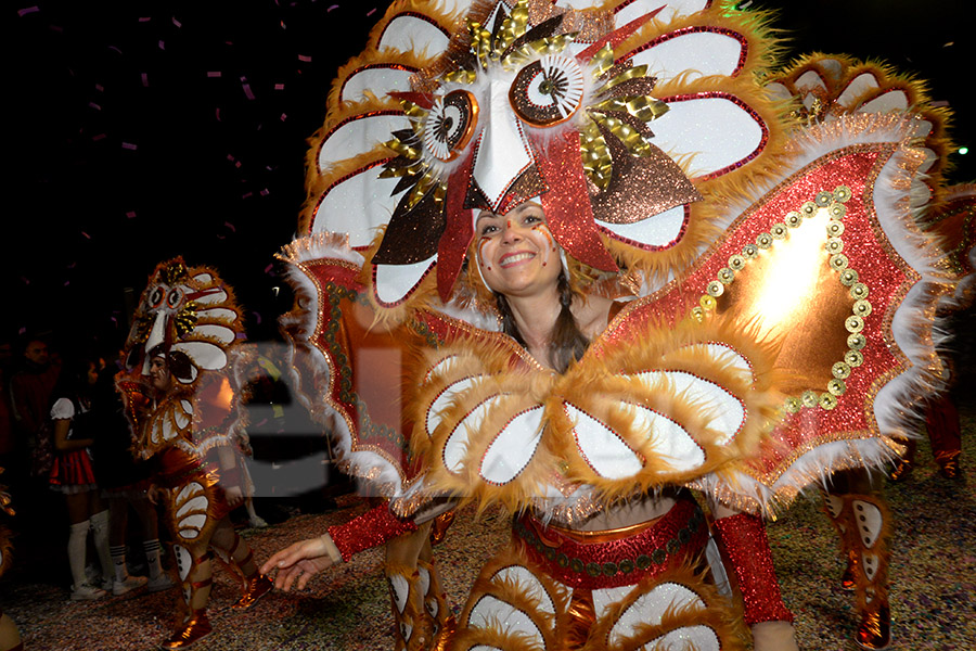 Rua del Carnaval del Vendrell 2017 (I). Rua del Carnaval del Vendrell 2017 (I)