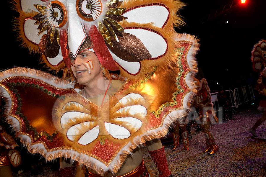 Rua del Carnaval del Vendrell 2017 (I). Rua del Carnaval del Vendrell 2017 (I)