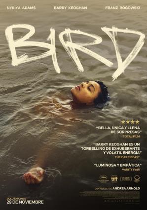 Cartell de BIRD