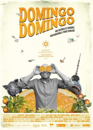 Cartell de DOMINGO DOMINGO