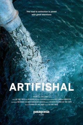 Cartell de ARTIFISHAL