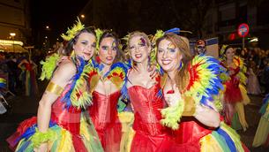 Galeria fotogràfica Rua del Carnaval de Les Roquetes del Garraf 2017