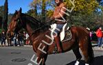 Tres Tombs 2016 de Vilanova i la Geltrú