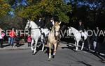 Tres Tombs 2016 de Vilanova i la Geltrú