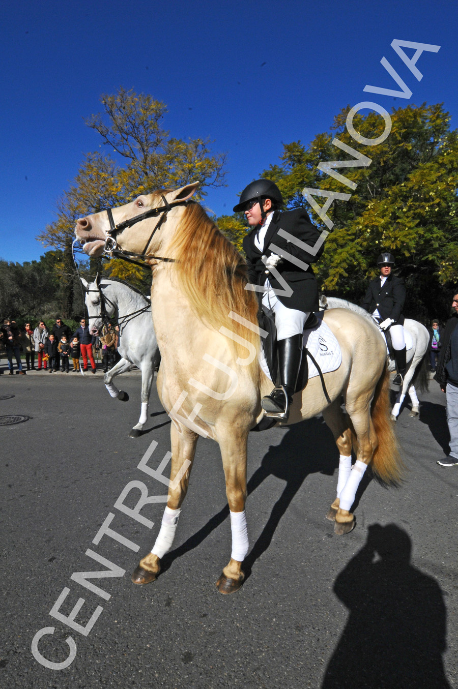 Tres Tombs 2016 de Vilanova i la Geltrú. Tres Tombs 2016 de Vilanova i la Geltrú