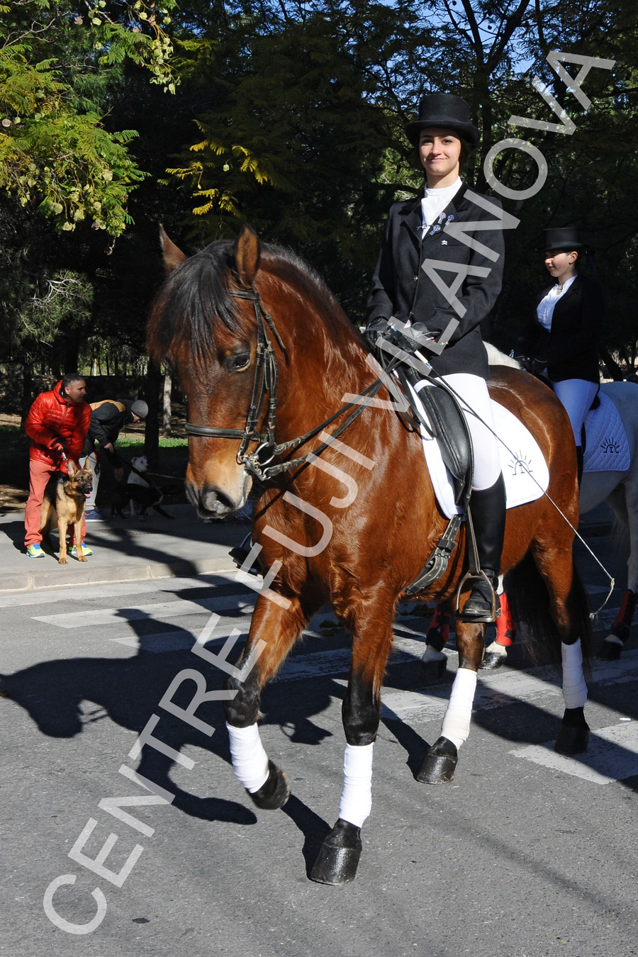 Tres Tombs 2016 de Vilanova i la Geltrú. Tres Tombs 2016 de Vilanova i la Geltrú