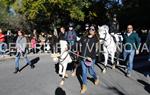 Tres Tombs 2016 de Vilanova i la Geltrú