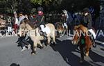 Tres Tombs 2016 de Vilanova i la Geltrú