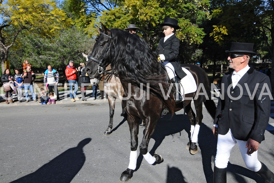 Tres Tombs 2016 de Vilanova i la Geltrú. Tres Tombs 2016 de Vilanova i la Geltrú