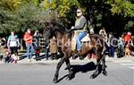 Tres Tombs 2016 de Vilanova i la Geltrú