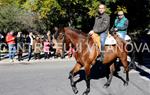 Tres Tombs 2016 de Vilanova i la Geltrú