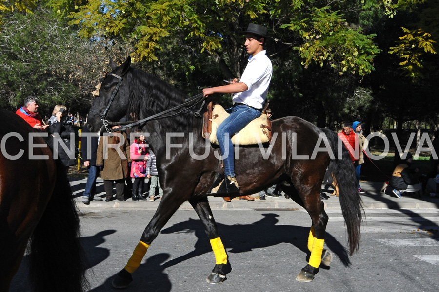 Tres Tombs 2016 de Vilanova i la Geltrú. Tres Tombs 2016 de Vilanova i la Geltrú