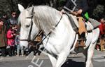 Tres Tombs 2016 de Vilanova i la Geltrú