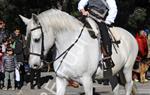 Tres Tombs 2016 de Vilanova i la Geltrú