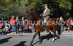 Tres Tombs 2016 de Vilanova i la Geltrú