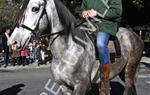 Tres Tombs 2016 de Vilanova i la Geltrú