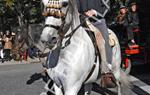 Tres Tombs 2016 de Vilanova i la Geltrú