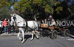 Tres Tombs 2016 de Vilanova i la Geltrú