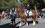 Tres Tombs 2016 de Vilanova i la Geltrú