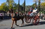 Tres Tombs 2016 de Vilanova i la Geltrú