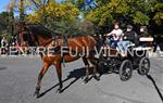 Tres Tombs 2016 de Vilanova i la Geltrú