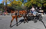 Tres Tombs 2016 de Vilanova i la Geltrú