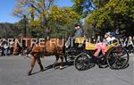 Tres Tombs 2016 de Vilanova i la Geltrú