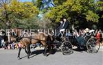 Tres Tombs 2016 de Vilanova i la Geltrú