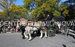 Tres Tombs 2016 de Vilanova i la Geltrú