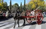 Tres Tombs 2016 de Vilanova i la Geltrú