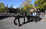 Tres Tombs 2016 de Vilanova i la Geltrú