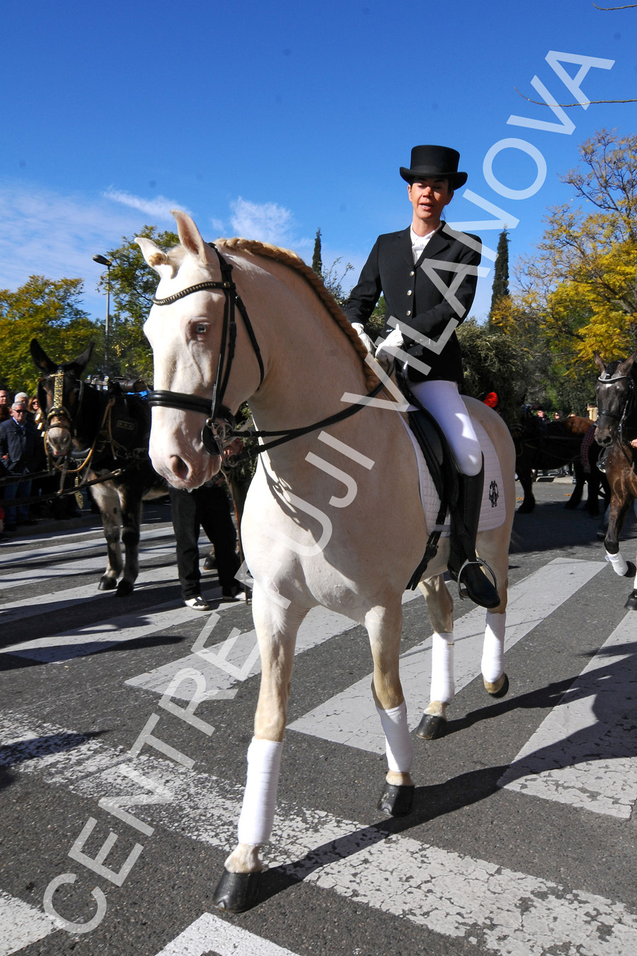 Tres Tombs 2016 de Vilanova i la Geltrú. Tres Tombs 2016 de Vilanova i la Geltrú