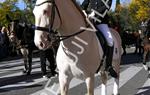 Tres Tombs 2016 de Vilanova i la Geltrú