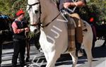 Tres Tombs 2016 de Vilanova i la Geltrú