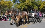 Tres Tombs 2016 de Vilanova i la Geltrú