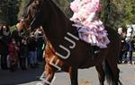 Tres Tombs 2016 de Vilanova i la Geltrú