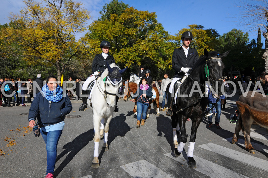 Tres Tombs 2016 de Vilanova i la Geltrú. Tres Tombs 2016 de Vilanova i la Geltrú