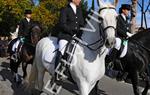 Tres Tombs 2016 de Vilanova i la Geltrú