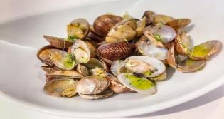 Els nostres plats