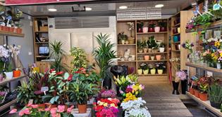 LA FLORISTERIA DEL MERCAT