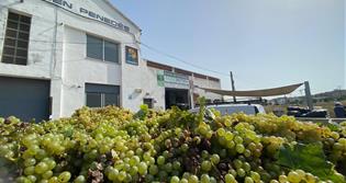 CELLER DE VITICULTORS