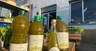 CELLER DE VITICULTORS