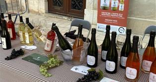 CELLER DE VITICULTORS