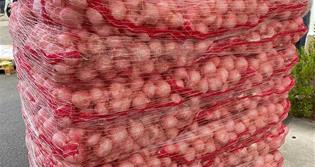 CELLER DE VITICULTORS