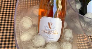 CELLER DE VITICULTORS