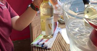 CELLER DE VITICULTORS